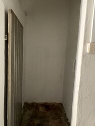 Changi Road (D14), Shop House #483658811